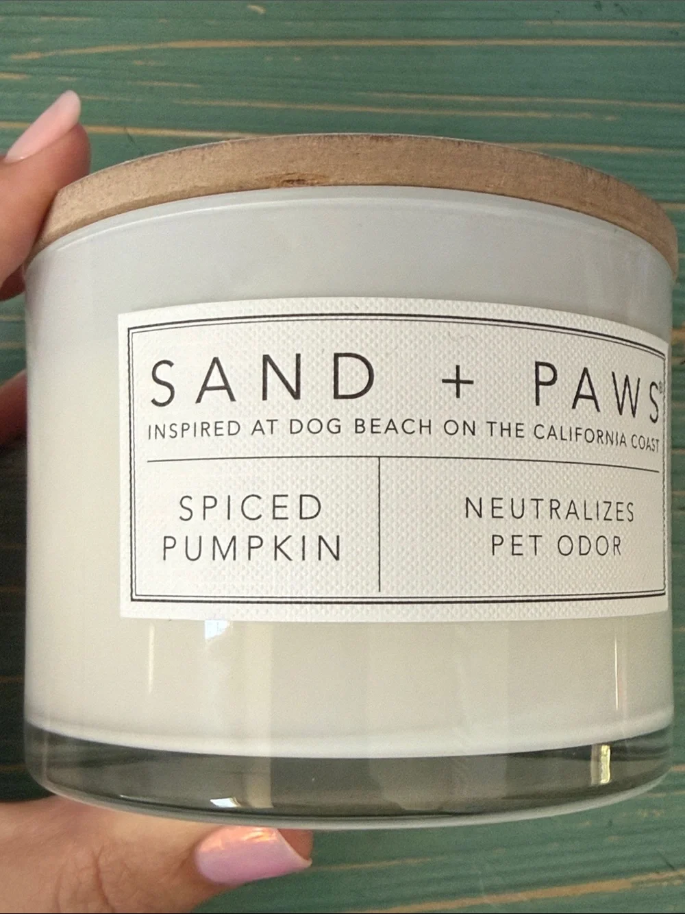 Spiced Pumpkin Pet Candle - White